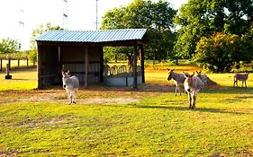 Ferienwohnungen zum Dubener Kuckuck